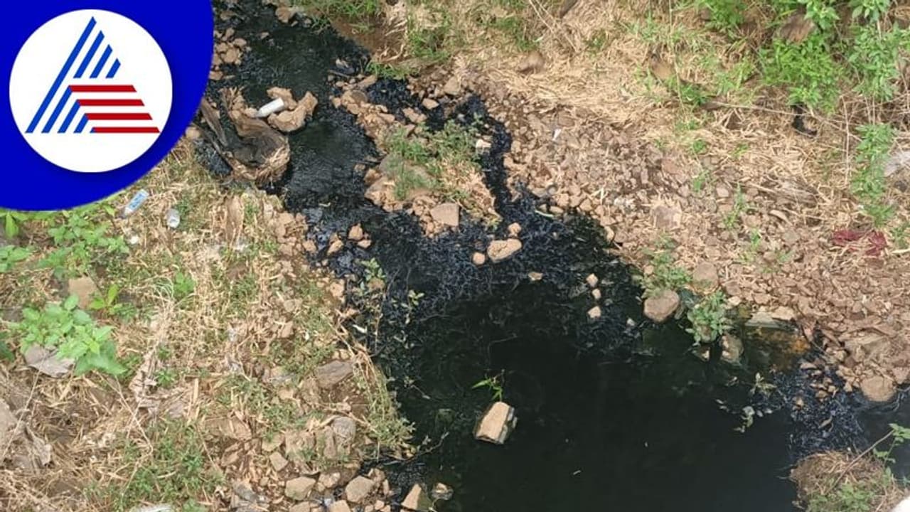 Chikkodi: ಕಾರ್ಖಾನೆಯಿಂದ ಕೆರೆಗೆ ಫ್ಯಾಕ್ಟರಿ ತ್ಯಾಜ್ಯ ಬಿಡುಗಡೆ: ಜನ ಜಾನುವಾರುಗಳಿಗೆ ಸಮಸ್ಯೆ