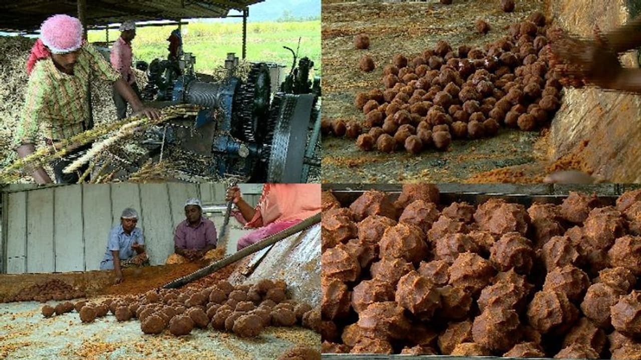 ശർക്കരയ്ക്ക് ജിഎസ്ടി: ആശങ്കയിൽ മറയൂരിലെ കർഷകർ, കേന്ദ്രം പിന്മാറണമെന്ന് ആവശ്യം ശർക്കരയ്ക്ക് ജിഎസ്ടി: ആശങ്കയിൽ മറയൂരിലെ കർഷകർ, കേന്ദ്രം പിന്മാറണമെന്ന് ആവശ്യം