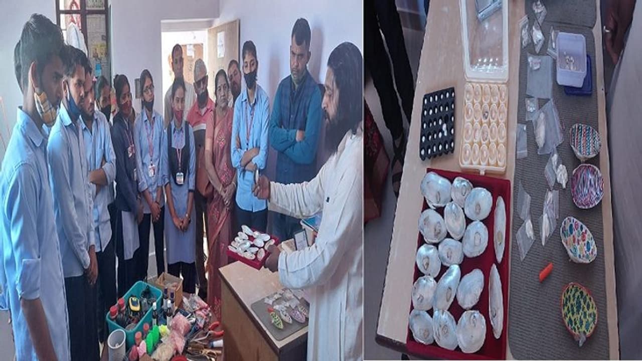 कैसे तैयार होती है मोती...सीकर के युवा किसान मोती की खेती से सालभर में कमा रहे करोड़ों रुपए कैसे तैयार होती है मोती...सीकर के युवा किसान मोती की खेती से सालभर में कमा रहे करोड़ों रुपए