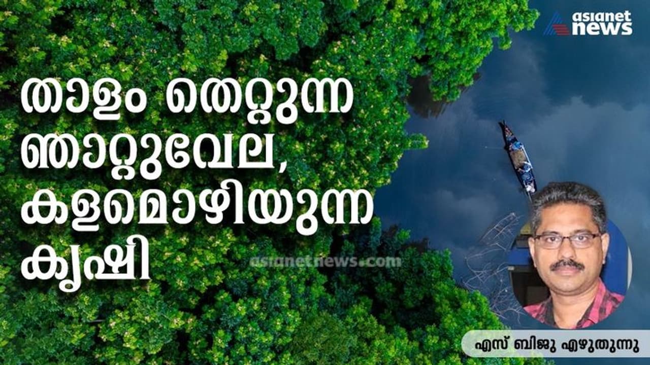  താളം തെറ്റുന്ന ഞാറ്റുവേല, കളമൊഴിയുന്ന കൃഷി