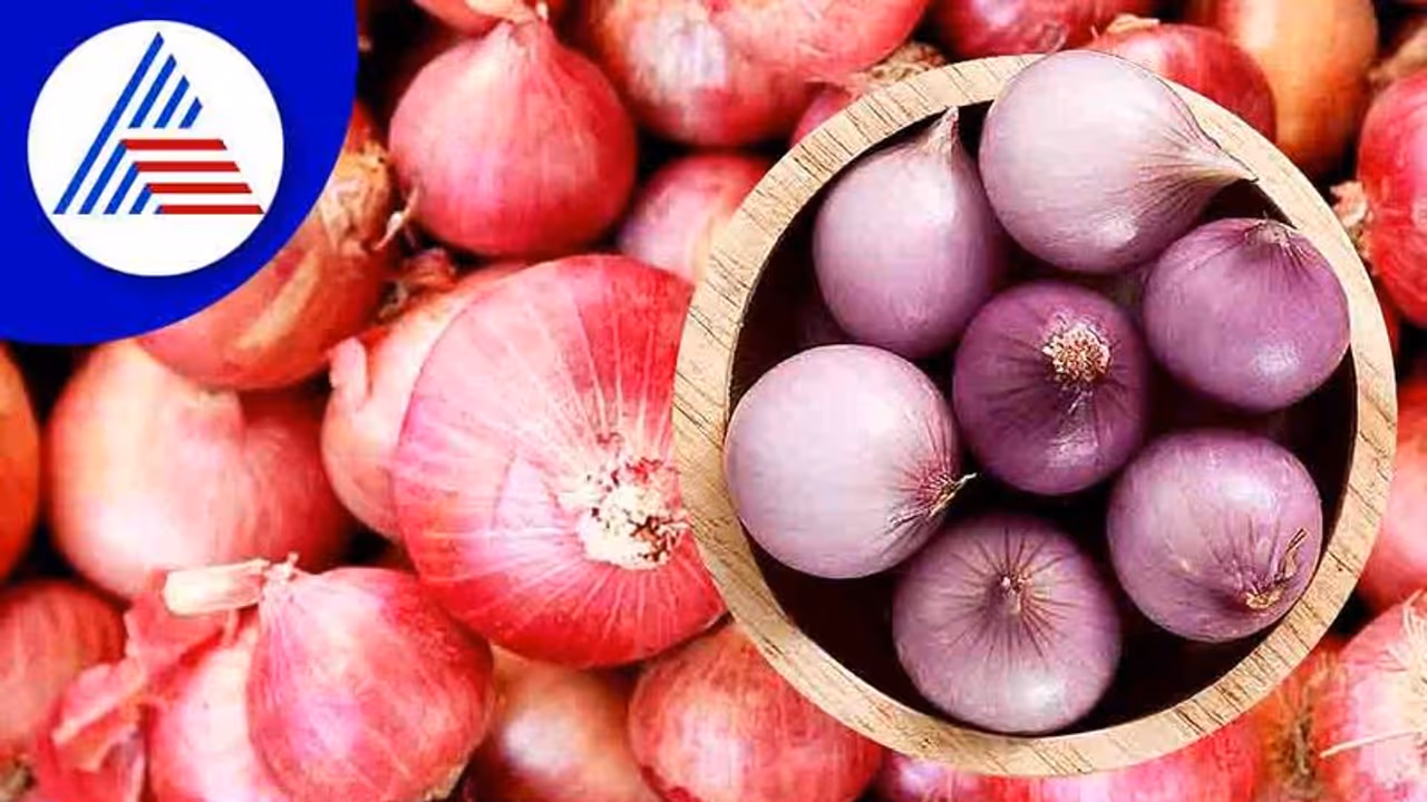 ಬಿಳಿ ಈರುಳ್ಳಿ ಸೇವನೆ ಹೃದಯದ ಆರೋಗ್ಯ ಕಾಪಾಡುತ್ತೆ ಬಿಳಿ ಈರುಳ್ಳಿ ಸೇವನೆ ಹೃದಯದ ಆರೋಗ್ಯ ಕಾಪಾಡುತ್ತೆ