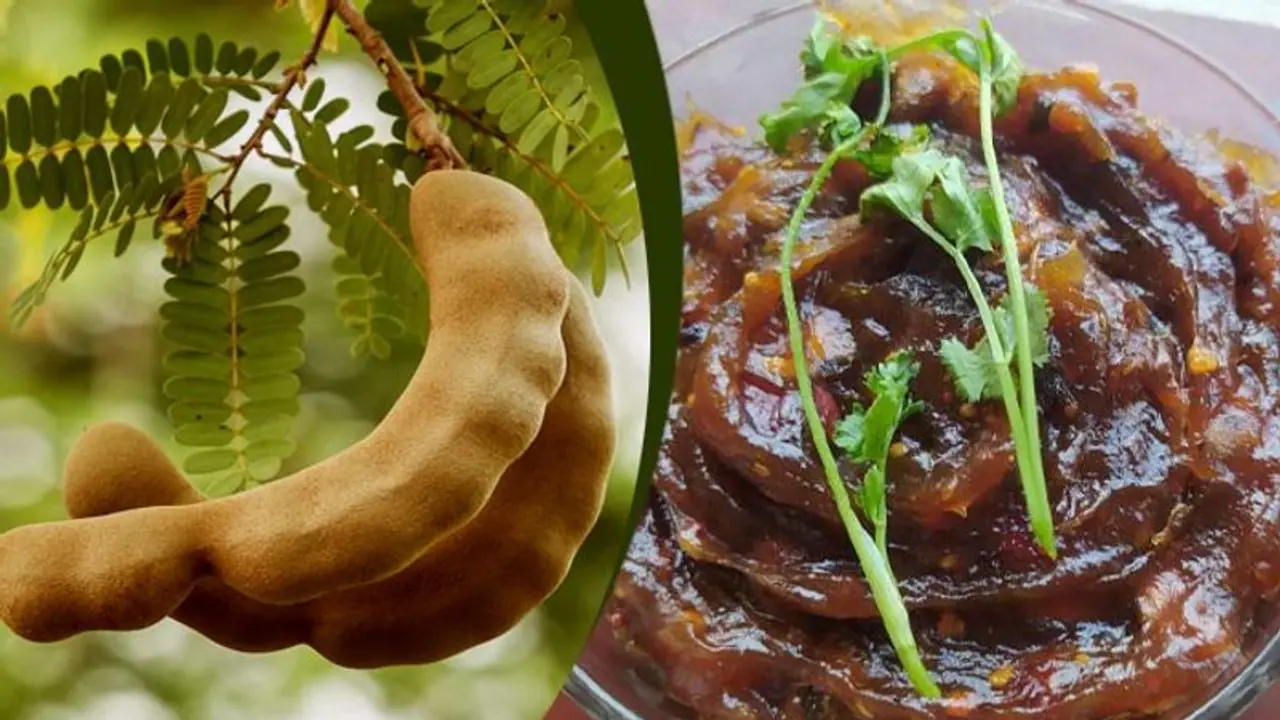 জিভে জল আনা কালো তেঁতুলের চাটনি, গরমের ওই সময় স্বাদ ও স্বাস্থ্য দুটোই বজায় রাখবে 