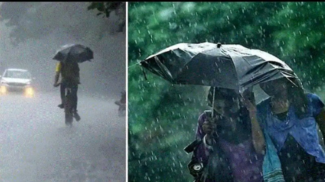 കാലവർഷം മെയ് 27 ന് എത്തിയേക്കും, അപകടകരമായ മരങ്ങൾ സ്വകാര്യ വ്യക്തികൾ മുറിക്കണം: മന്ത്രി