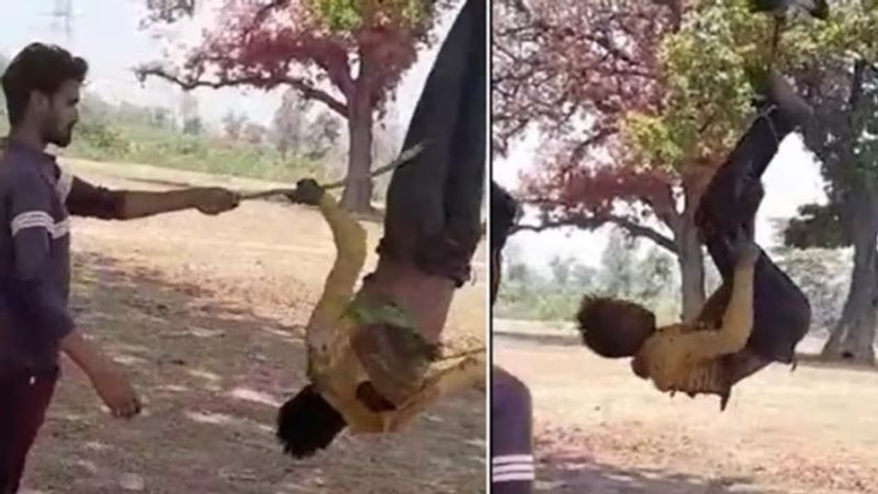 छत्तीसगढ़ के बिलासपुर में दिल दहलाने वाली घटना: Video देख कांप जाएगी रूह, युवक को पेड़ पर लटकाकर की क्रूरता छत्तीसगढ़ के बिलासपुर में दिल दहलाने वाली घटना: Video देख कांप जाएगी रूह, युवक को पेड़ पर लटकाकर की क्रूरता