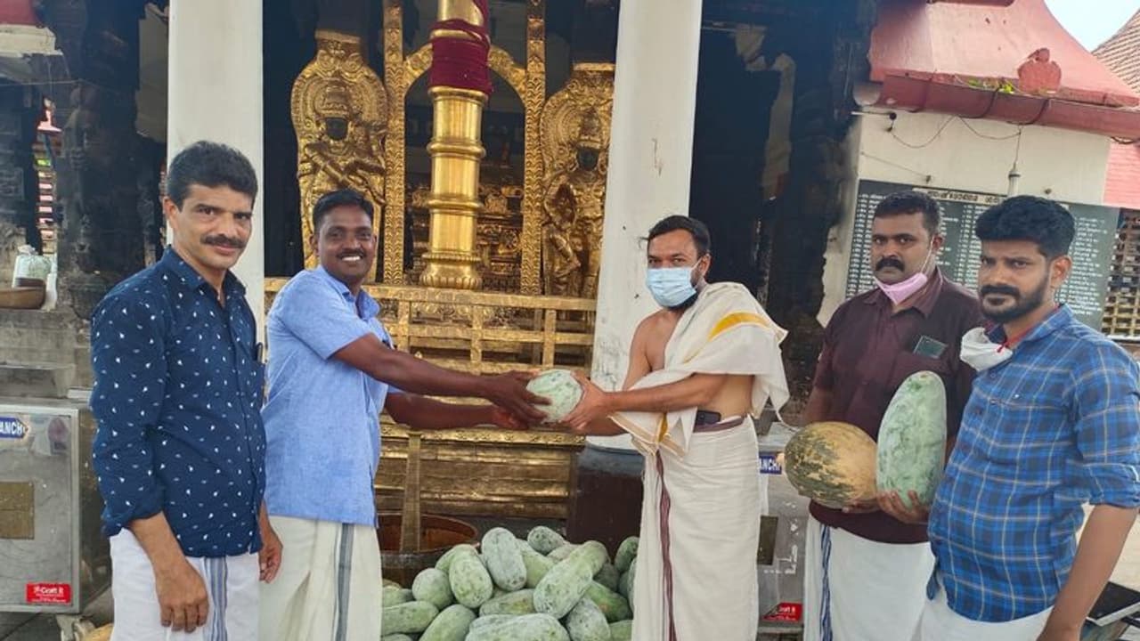 വൈക്കത്തപ്പന് 400കിലോ പച്ചക്കറി സമർപ്പിച്ച് ചേർത്തലയിലെ ജൈവ കർഷകർ വൈക്കത്തപ്പന് 400കിലോ പച്ചക്കറി സമർപ്പിച്ച് ചേർത്തലയിലെ ജൈവ കർഷകർ