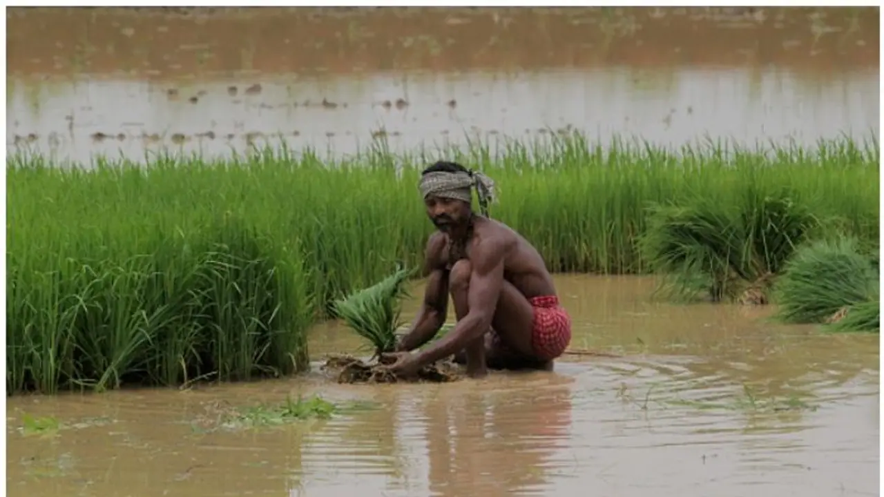 MYsuru : ನ. 2 ರಂದು ರೈತ ದಲಿತ ಕಾರ್ಮಿಕರ ಸಮಾವೇಶ MYsuru : ನ. 2 ರಂದು ರೈತ ದಲಿತ ಕಾರ್ಮಿಕರ ಸಮಾವೇಶ