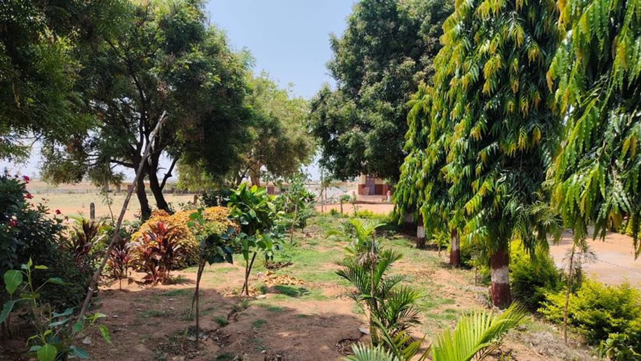 ಕೊಪ್ಪಳ: ಊರ ಹಸಿರು ಮಾಡಲು ಹೊರಟ ಯುವಕರ ತಂಡ