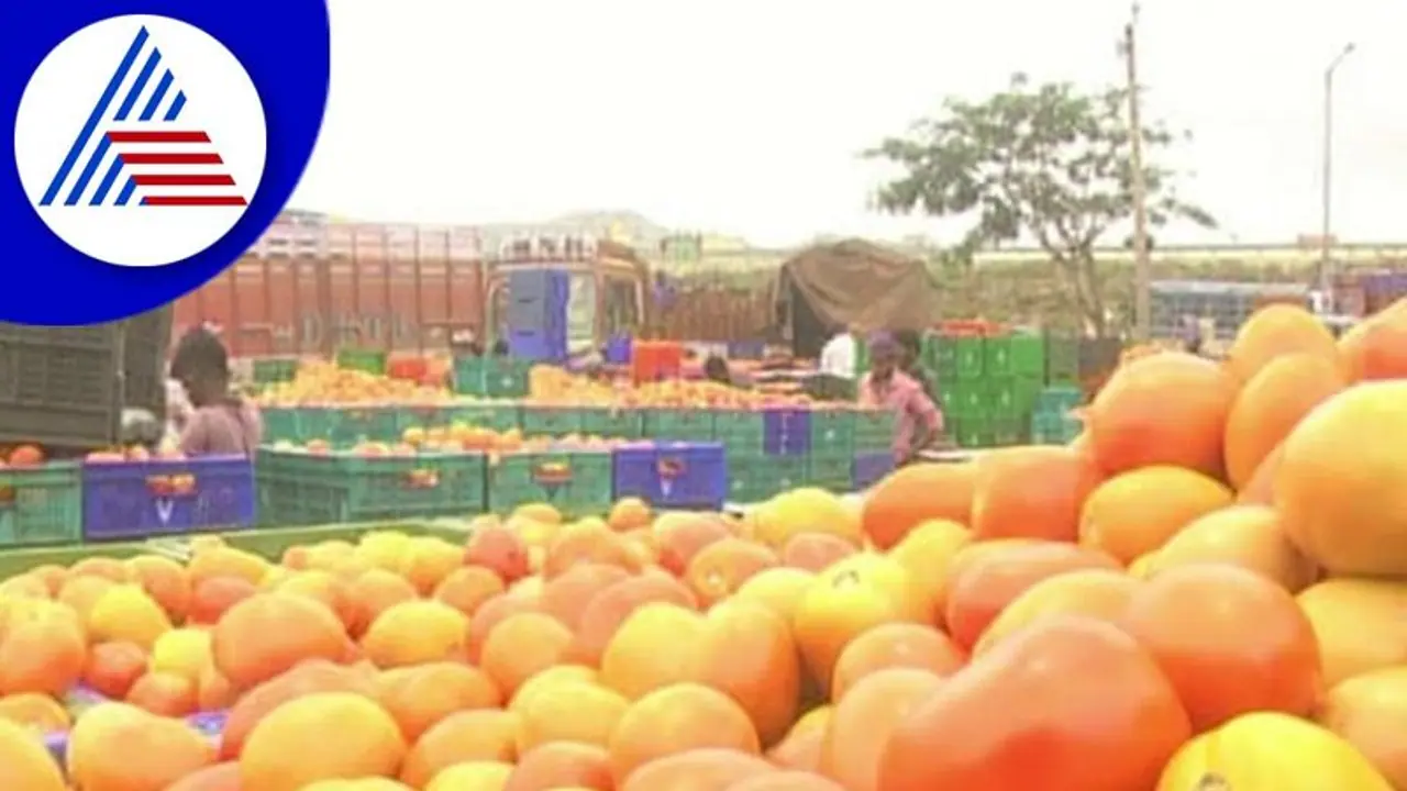 ಪೂರೈಕೆ ಹೆಚ್ಚಳ: ಬೆಂಗಳೂರಿನಲ್ಲಿ ಕೊಂಚ ತಗ್ಗಿದ 2, 3ನೇ ದರ್ಜೆ ಟೊಮೆಟೋ ದರ ಪೂರೈಕೆ ಹೆಚ್ಚಳ: ಬೆಂಗಳೂರಿನಲ್ಲಿ ಕೊಂಚ ತಗ್ಗಿದ 2, 3ನೇ ದರ್ಜೆ ಟೊಮೆಟೋ ದರ