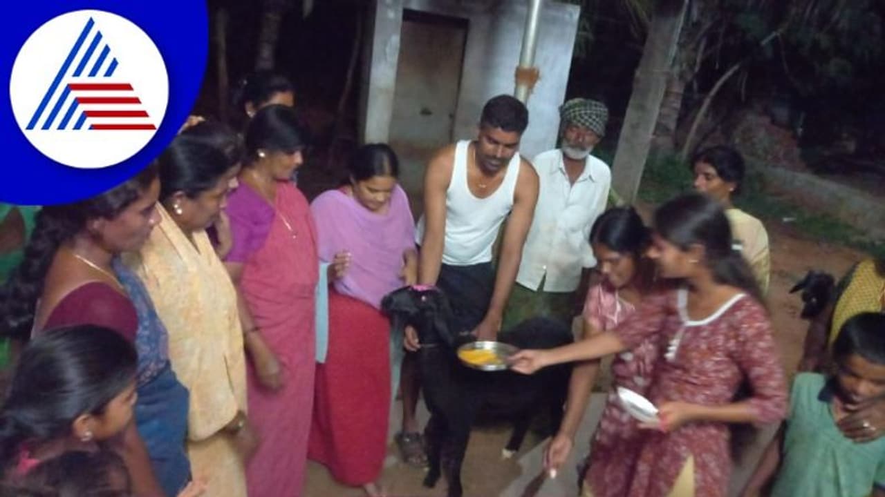 Chitradurga Lamb's Birthday: ಸಾಕಿದ ಕುರಿಯ ಹುಟ್ಟುಹಬ್ಬ ಆಚರಿಸಿದ ರೈತ! Chitradurga Lamb's Birthday: ಸಾಕಿದ ಕುರಿಯ ಹುಟ್ಟುಹಬ್ಬ ಆಚರಿಸಿದ ರೈತ!
