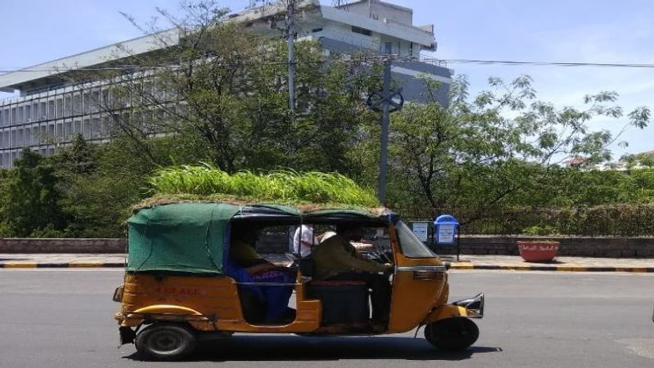 कभी देखा है ऐसा ऑटो! महेंद्र ने किया सवारियों के लिए कूल जुगाड़, ऊपर बगीचा और अंदर दो मिनी कूलर कभी देखा है ऐसा ऑटो! महेंद्र ने किया सवारियों के लिए कूल जुगाड़, ऊपर बगीचा और अंदर दो मिनी कूलर