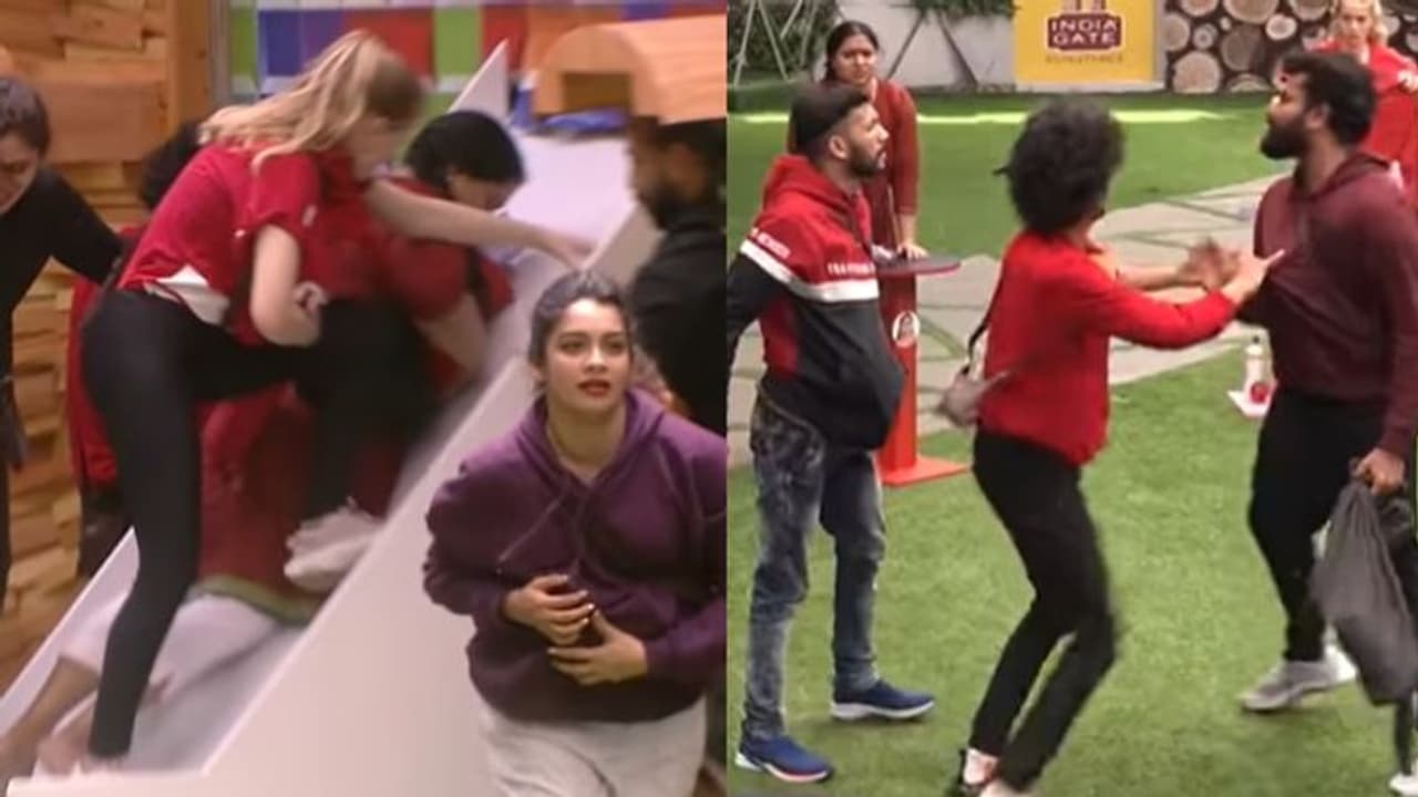 Bigg Boss Episode 39 highlights : ബിഗ് ബോസിൽ 'കട്ട വെയിറ്റിംഗ്'; പോരടിച്ച് അഖിലും റോബിനും Bigg Boss Episode 39 highlights : ബിഗ് ബോസിൽ 'കട്ട വെയിറ്റിംഗ്'; പോരടിച്ച് അഖിലും റോബിനും