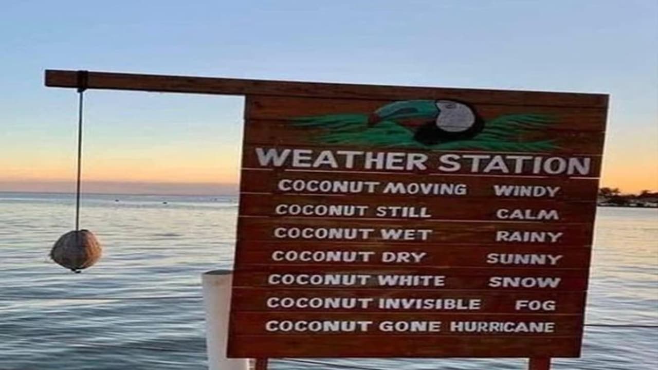 जुगाड़ का नारियल बतायेगा मौसम का हाल, आनंद महिंद्रा ने बताई भविष्य की तकनीक ! जुगाड़ का नारियल बतायेगा मौसम का हाल, आनंद महिंद्रा ने बताई भविष्य की तकनीक !