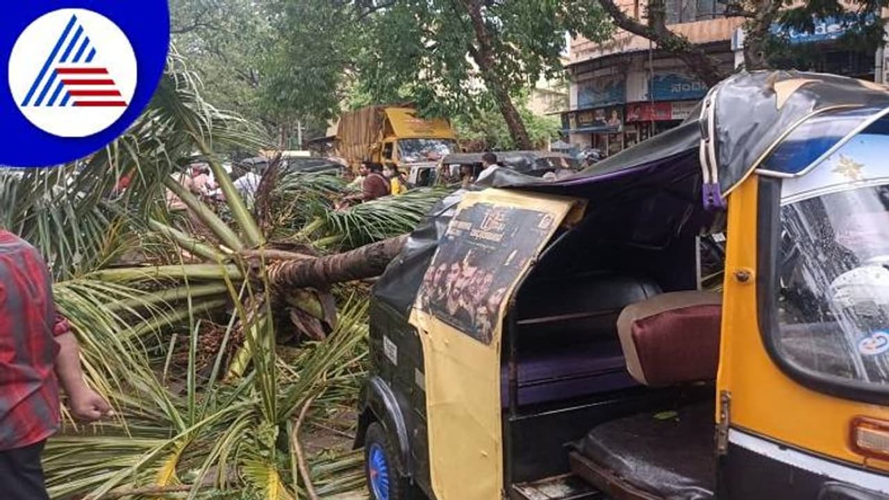 ಹುಬ್ಬಳ್ಳಿಯಲ್ಲಿ ಅಬ್ಬರಿಸಿದ ವರುಣ: ಓರ್ವ ಸಾವು, ಧರೆಗುರುಳಿದ ಮರಗಳು..! ಹುಬ್ಬಳ್ಳಿಯಲ್ಲಿ ಅಬ್ಬರಿಸಿದ ವರುಣ: ಓರ್ವ ಸಾವು, ಧರೆಗುರುಳಿದ ಮರಗಳು..!