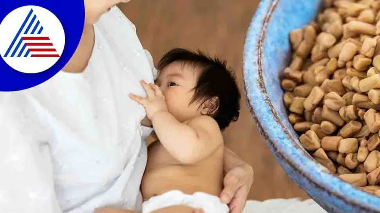 മുലപ്പാൽ വർധിപ്പിക്കാൻ ഈ ഏഴ് 'സൂപ്പർ ഭക്ഷണങ്ങൾ' പരിക്ഷിക്കൂ മുലപ്പാൽ വർധിപ്പിക്കാൻ ഈ ഏഴ് 'സൂപ്പർ ഭക്ഷണങ്ങൾ' പരിക്ഷിക്കൂ