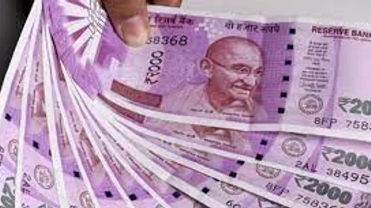 Business Ideas: మహిళలు ఇంట్లో కూర్చొనే నెలకు రూ. 1 లక్ష సంపాదించడం ఎలాగో తెలుసుకోండి..