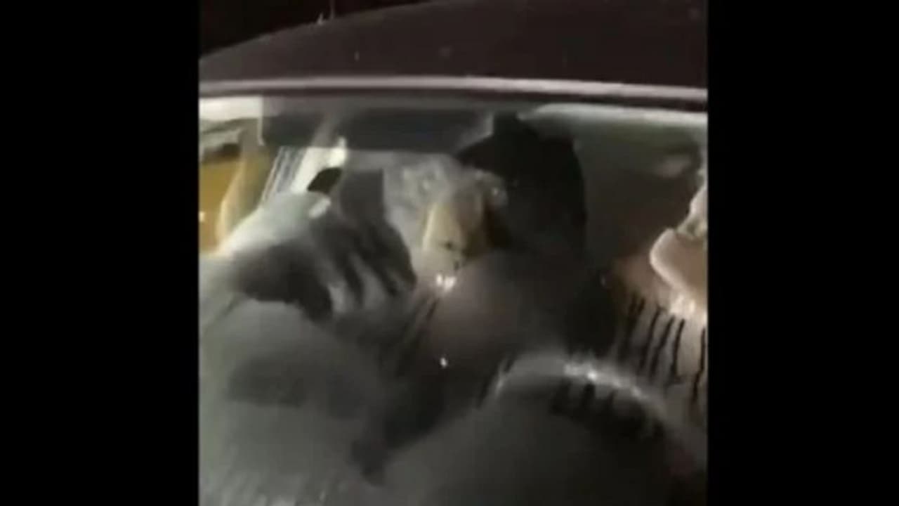 शख्स ने रात को देखा पार्किंग में सास की कार की लाइट जल रही थी, जबकि वह कमरे में थीं, नजदीक गया तो हुआ हैरान शख्स ने रात को देखा पार्किंग में सास की कार की लाइट जल रही थी, जबकि वह कमरे में थीं, नजदीक गया तो हुआ हैरान