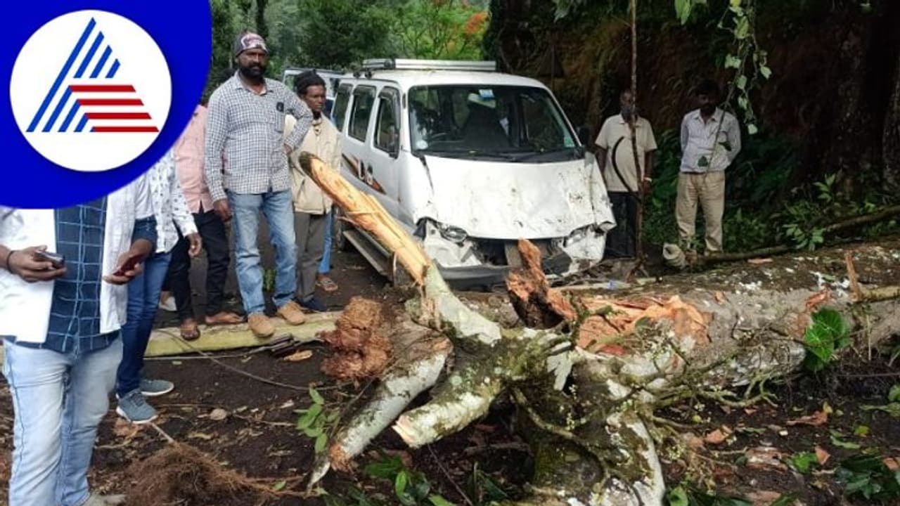Chikkamagaluru ಕಾರಿಗೆ ಅಪ್ಪಳಿಸಿದ ವಿದ್ಯುತ್ ಕಂಬ, ಕೂದಳೆಲೆ ಅಂತರದಲ್ಲಿ ಪ್ರಯಾಣಿಕರು ಪಾರು Chikkamagaluru ಕಾರಿಗೆ ಅಪ್ಪಳಿಸಿದ ವಿದ್ಯುತ್ ಕಂಬ, ಕೂದಳೆಲೆ ಅಂತರದಲ್ಲಿ ಪ್ರಯಾಣಿಕರು ಪಾರು
