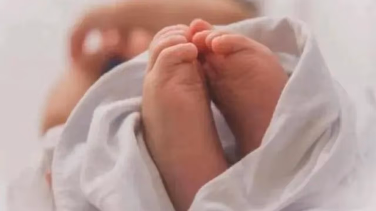 झारखंड के सरकारी अस्पताल से आई शर्मनाक खबर: चूहों ने नवजात के अंगों को कुतरा, बच्चे को देख मां के उड़े होश