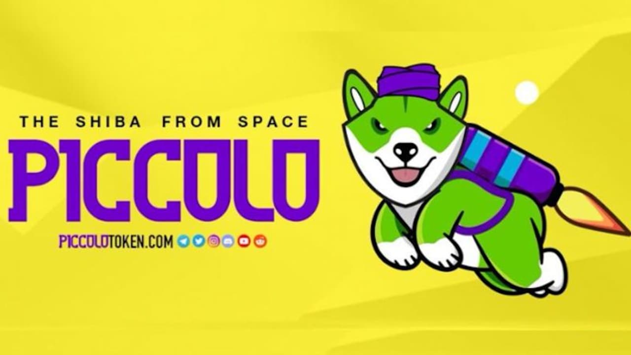 Piccolo Inu Explains the User Benefits of Cryptocurrency