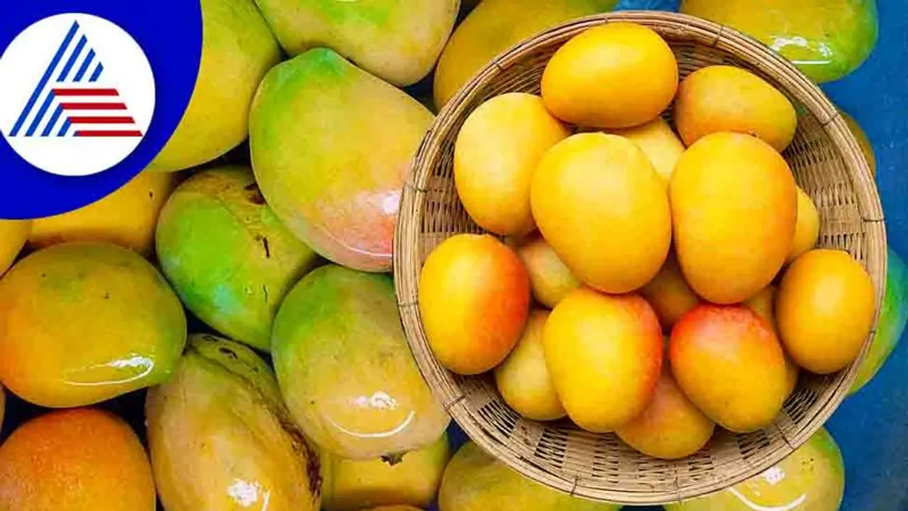 Health Tips : ಮಾವು ತಿನ್ನುವ ಮೊದಲು 30 ನಿಮಿಷ ನೀರಿನಲ್ಲಿ ನೆನೆಸಿಟ್ಟು ನೋಡಿ