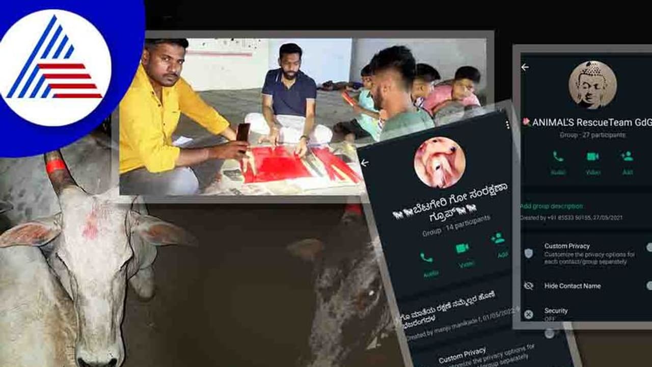 Gadag ಗಾಯಗೊಂಡ ಹಸುಗಳ ರಕ್ಷಣೆಗಾಗಿ ತಂಡ ಕಟ್ಟಿದ ಯುವಕರು Gadag ಗಾಯಗೊಂಡ ಹಸುಗಳ ರಕ್ಷಣೆಗಾಗಿ ತಂಡ ಕಟ್ಟಿದ ಯುವಕರು