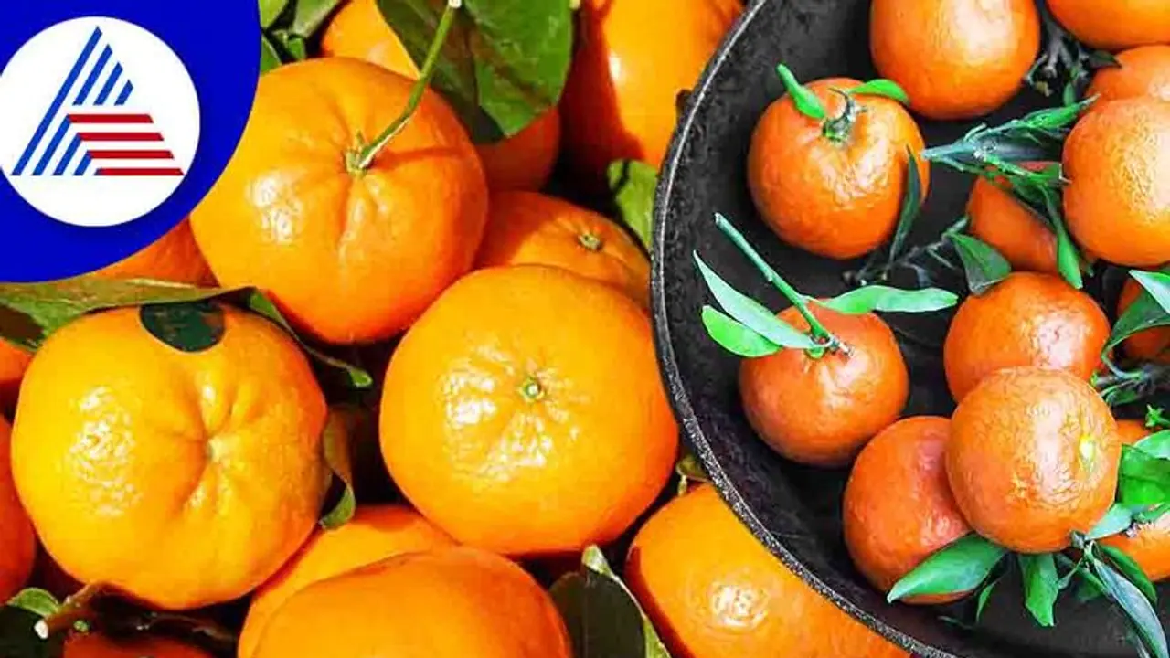 ಕಿತ್ತಳೆ ಹಣ್ಣು ಅತಿಯಾದ್ರೆ ಕಾಡಲಿದೆ ಸಮಸ್ಯೆ