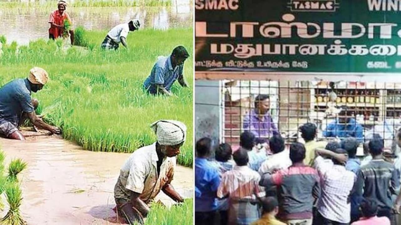 விவசாய நிலத்தில் மதுக்கடைகள் திறக்கக்கூடாது..உயர்நீதிமன்றம் போட்ட கிடுக்கிப்பிடி உத்தரவு ! விவசாய நிலத்தில் மதுக்கடைகள் திறக்கக்கூடாது..உயர்நீதிமன்றம் போட்ட கிடுக்கிப்பிடி உத்தரவு !