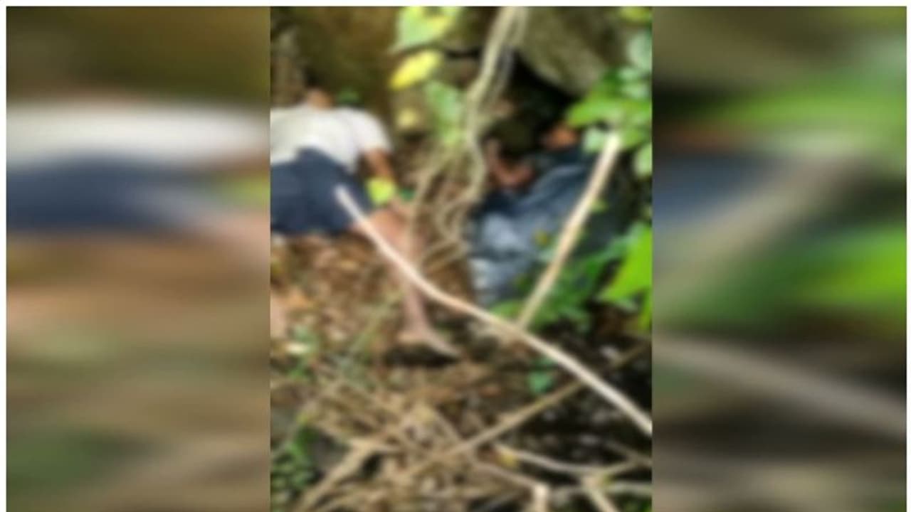 ഏലത്തോട്ടത്തിൽ ദമ്പതിമാർ മരിച്ച നിലയിൽ ഏലത്തോട്ടത്തിൽ ദമ്പതിമാർ മരിച്ച നിലയിൽ