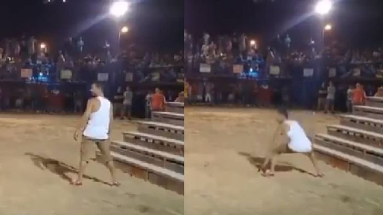 'കത്തുന്ന' കൊമ്പുമായി കാള, മനുഷ്യനെ വലിച്ചെറിഞ്ഞു, വൈറലായി വീഡിയോ 'കത്തുന്ന' കൊമ്പുമായി കാള, മനുഷ്യനെ വലിച്ചെറിഞ്ഞു, വൈറലായി വീഡിയോ