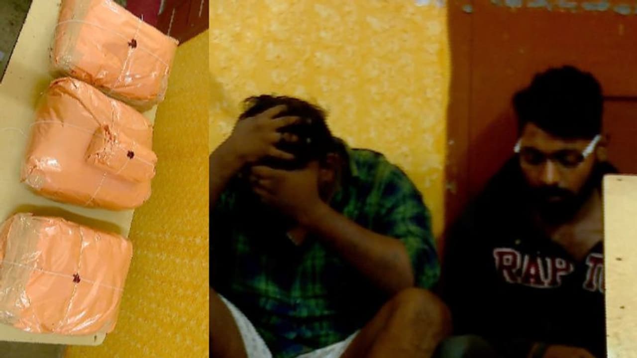 റെയില്വേ സ്റ്റഷനില് 20 കിലോ കഞ്ചാവുമായി യുവാക്കള്; ഓടിച്ചിട്ട് പിടികൂടി ആര്പിഎഫ് റെയില്വേ സ്റ്റഷനില് 20 കിലോ കഞ്ചാവുമായി യുവാക്കള്; ഓടിച്ചിട്ട് പിടികൂടി ആര്പിഎഫ്