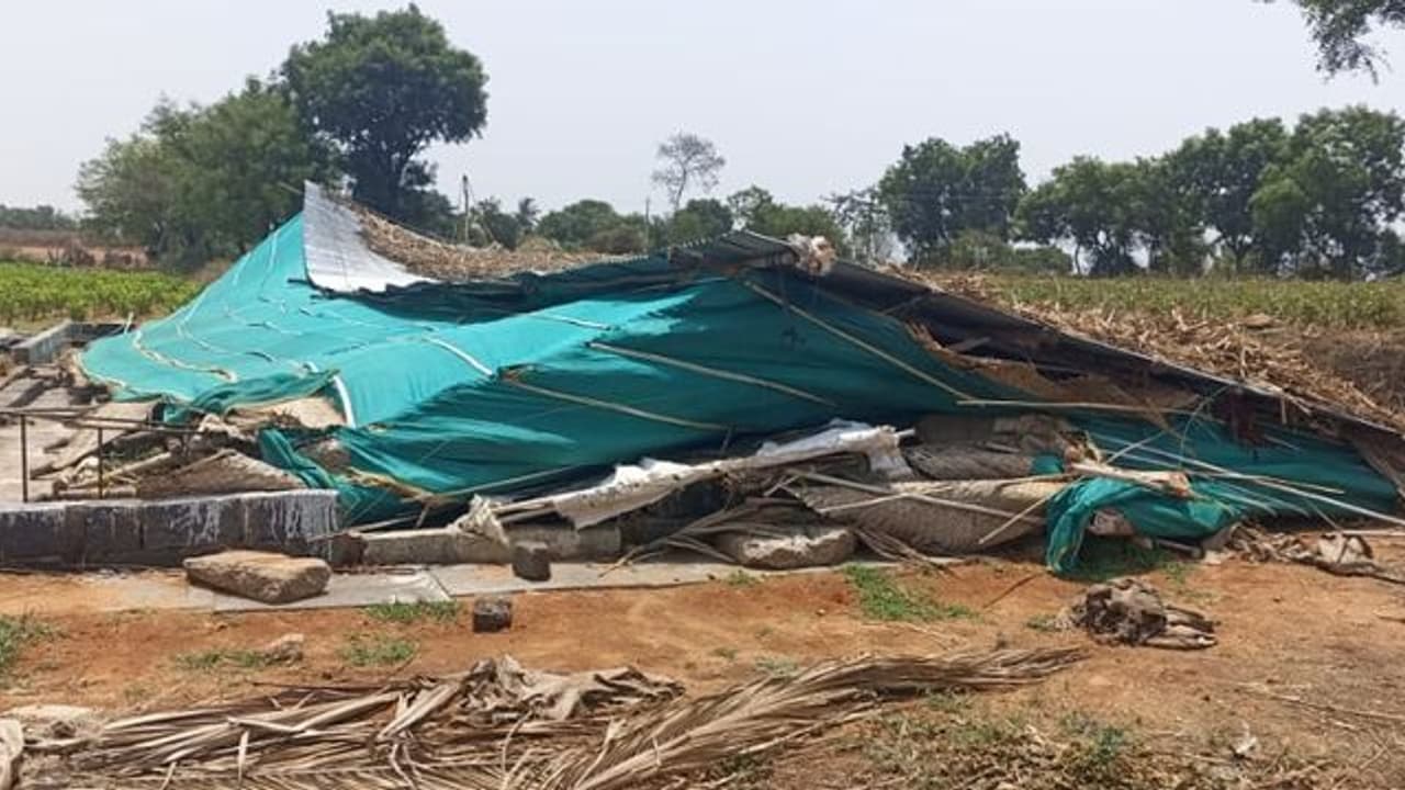 ಗಾಳಿ ಮಳೆಗೆ ನೆಲಕಚ್ಚಿದ ರೇಷ್ಮೆ ಶೆಡ್, ಪವಾಡ ರೀತಿಯಲ್ಲಿ ಪಾರಾದ ತಾಯಿ ಮಗ