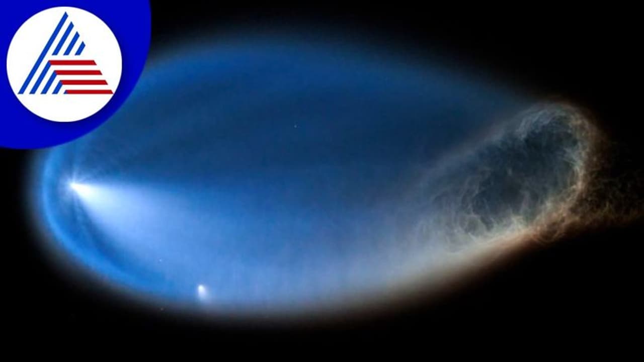 Space Jellyfish: ಆಕಾಶದಲ್ಲಿ ಬೆರಗುಗೊಳಿಸುವ ದೃಶ್ಯ ಕಂಡ ಫ್ಲೋರಿಡಾ ನಿವಾಸಿಗಳು: ಏನಿದು ಚಮತ್ಕಾರ? Space Jellyfish: ಆಕಾಶದಲ್ಲಿ ಬೆರಗುಗೊಳಿಸುವ ದೃಶ್ಯ ಕಂಡ ಫ್ಲೋರಿಡಾ ನಿವಾಸಿಗಳು: ಏನಿದು ಚಮತ್ಕಾರ?