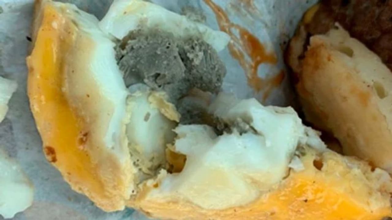 भूख लगी तो ऑनलाइन मंगाया अंडा बर्गर, खाने के लिए पैकेट खोला तो निकली हैरान करने वाली चीज भूख लगी तो ऑनलाइन मंगाया अंडा बर्गर, खाने के लिए पैकेट खोला तो निकली हैरान करने वाली चीज