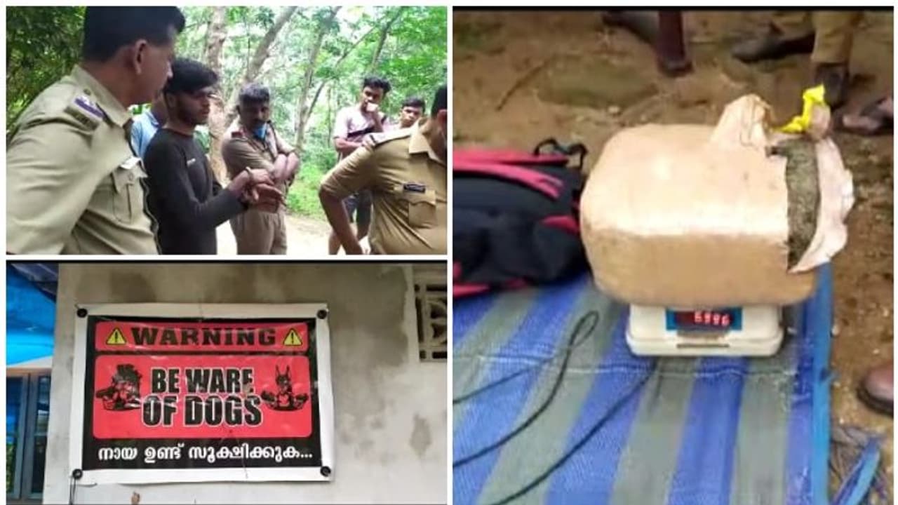 ഈരാറ്റുപേട്ടയിൽ നായ് വളർത്തൽ കേന്ദ്രത്തിന്റെ മറവിൽ കഞ്ചാവ് കച്ചവടം; ഒരാള് കസ്റ്റഡിയില് ഈരാറ്റുപേട്ടയിൽ നായ് വളർത്തൽ കേന്ദ്രത്തിന്റെ മറവിൽ കഞ്ചാവ് കച്ചവടം; ഒരാള് കസ്റ്റഡിയില്
