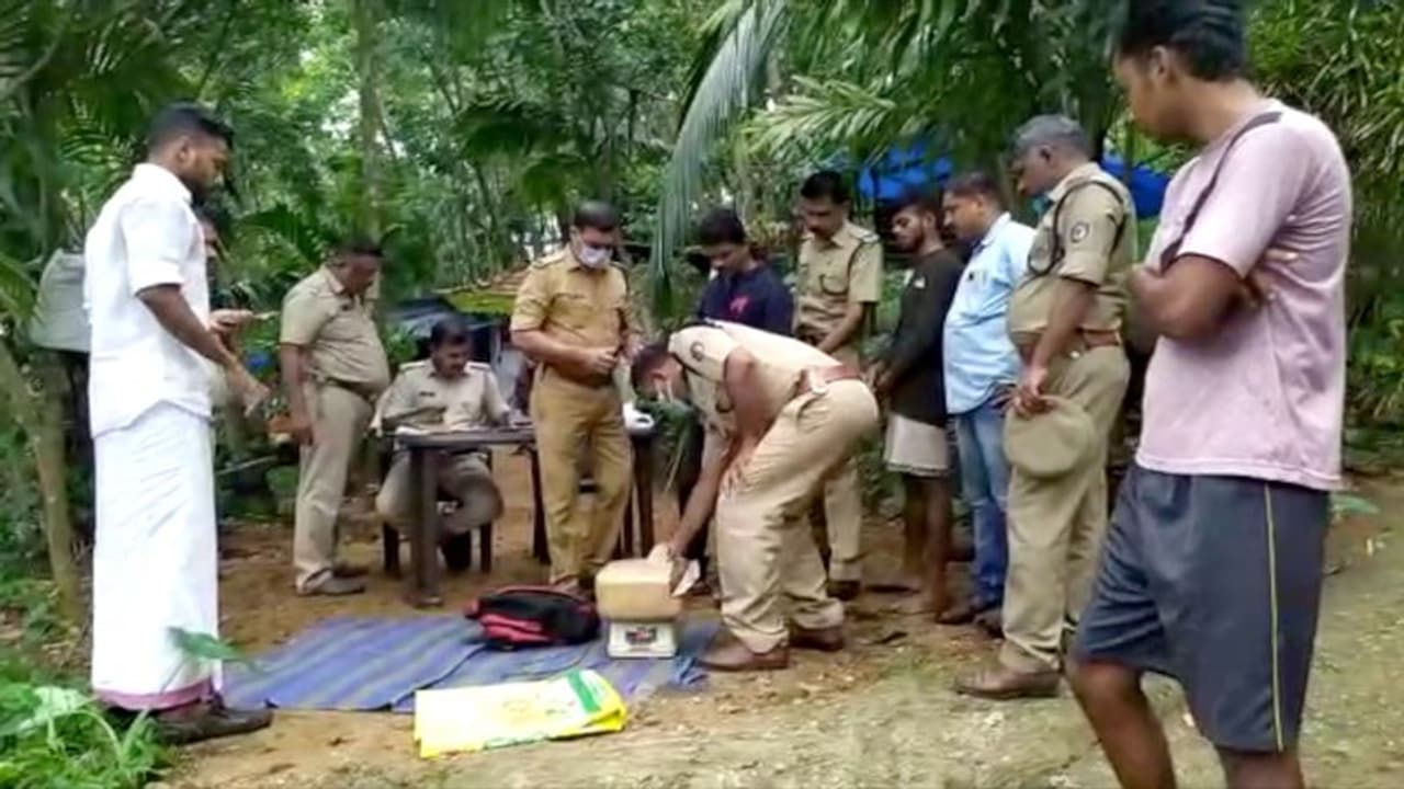 വീടിന് പുറത്ത് മുന്തിയ ഇനം നായ്ക്കൾ.. അകത്ത് കഞ്ചാവ് കച്ചവടം, പൊലീസ് റെയ്ഡ്, ആറര കിലോ പിടിച്ചു