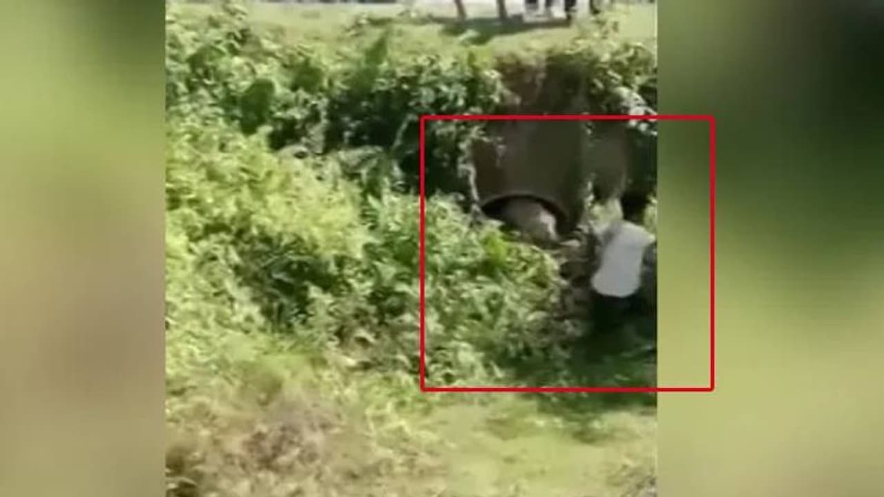 போட்டோ எடுக்க அருகில் சென்ற நபர்.. ஒரே போடு போட்ட சிறுத்தை... அப்புறம் என்ன ஆச்சு தெரியுமா?