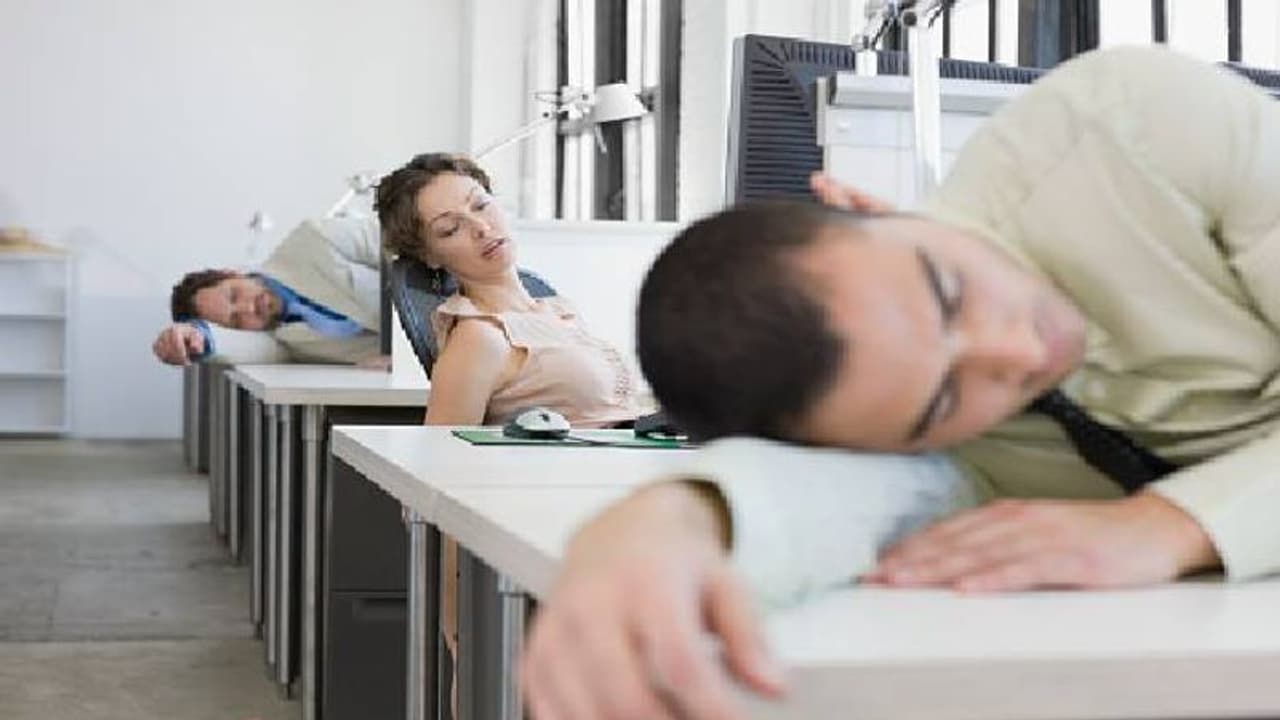 ജീവനക്കാർക്ക് ഉച്ചയുറക്കം അനുവദിച്ച് കമ്പനി, പൊളിയാണല്ലോ എന്ന് സോഷ്യൽ മീഡിയ ജീവനക്കാർക്ക് ഉച്ചയുറക്കം അനുവദിച്ച് കമ്പനി, പൊളിയാണല്ലോ എന്ന് സോഷ്യൽ മീഡിയ