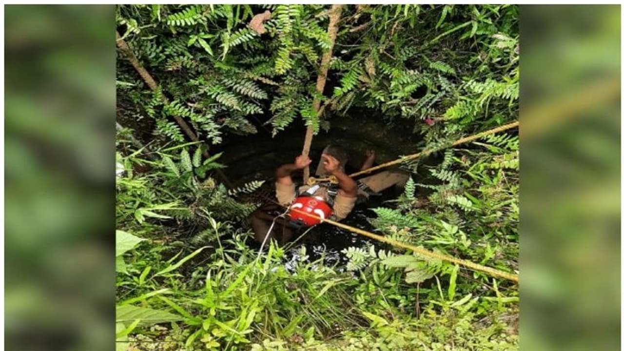 തിരുവനന്തപുരത്ത് സദാചാര പോലീസ് ചമഞ്ഞ് ദമ്പതികളെ ആക്രമിച്ച കേസ്; ഒന്നാം പ്രതി ആത്മഹത്യ ചെയ്തു തിരുവനന്തപുരത്ത് സദാചാര പോലീസ് ചമഞ്ഞ് ദമ്പതികളെ ആക്രമിച്ച കേസ്; ഒന്നാം പ്രതി ആത്മഹത്യ ചെയ്തു