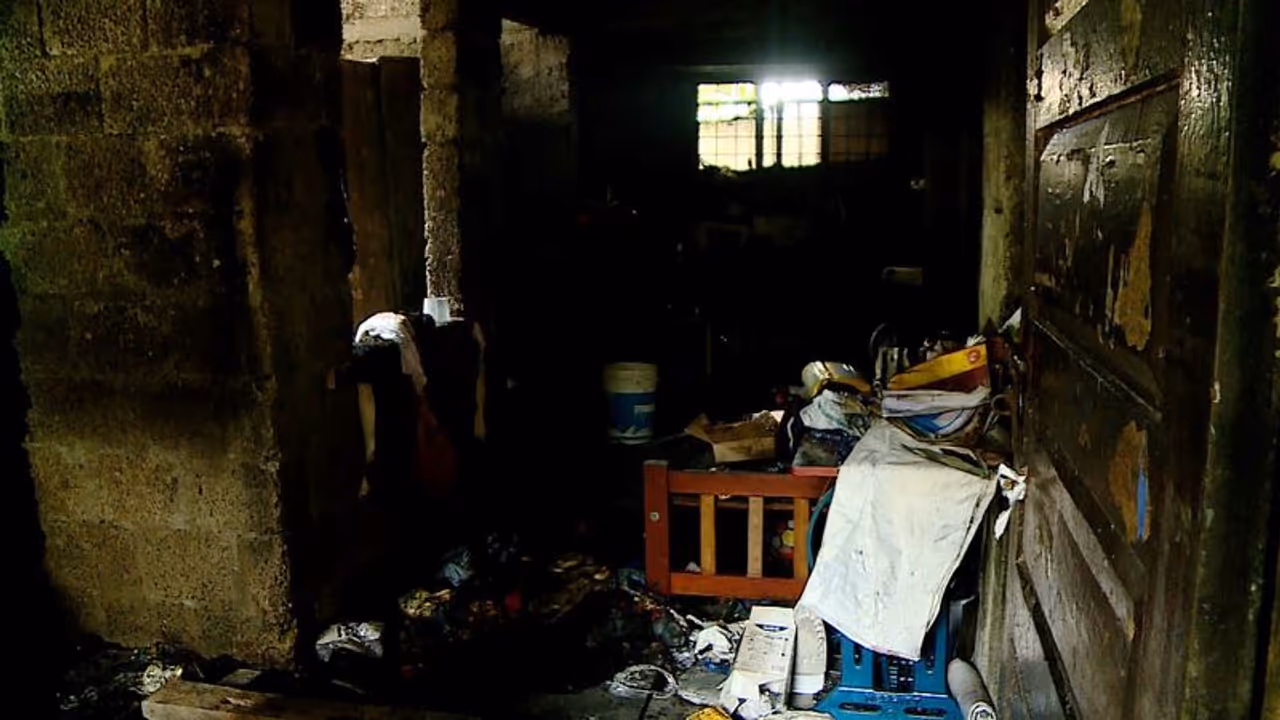 തൃക്കാക്കരയില് സിപിഎം പ്രവർത്തകയുടെ വീട് കത്തിച്ചു; 6 മുയലുകളും പൊള്ളലേറ്റ് ചത്തു തൃക്കാക്കരയില് സിപിഎം പ്രവർത്തകയുടെ വീട് കത്തിച്ചു; 6 മുയലുകളും പൊള്ളലേറ്റ് ചത്തു