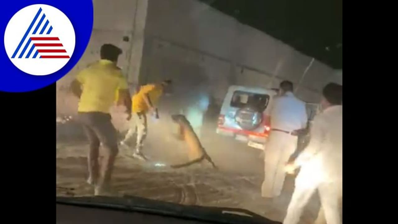 ಅರಣ್ಯಾಧಿಕಾರಿ, ಪೊಲೀಸರ ಮೇಲೆ ಎಗರಿಬಿದ್ದ ಚೀತಾ: ವಿಡಿಯೋ ವೈರಲ್