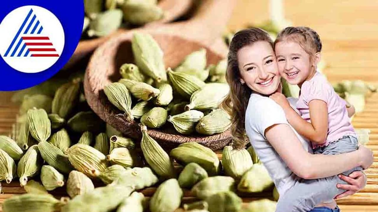 Kids Health : ಮಕ್ಕಳಿಗೆ ಹೀಗೆ ನೀಡಿ ಏಲಕ್ಕಿ Kids Health : ಮಕ್ಕಳಿಗೆ ಹೀಗೆ ನೀಡಿ ಏಲಕ್ಕಿ