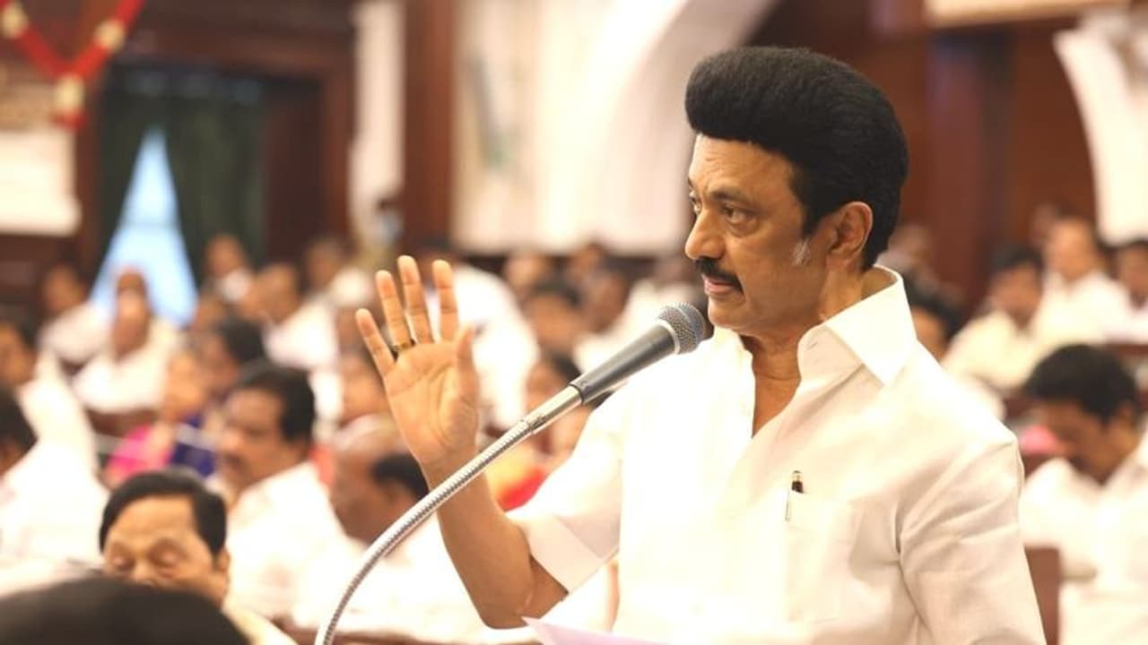 பெரியார் திடலுக்கு வந்தேன் என்றால் என் தாய் வீட்டுக்கு வந்துள்ளேன் என அர்த்தம்.. முதல்வர் ஸ்டாலின் பெருமிதம்.!