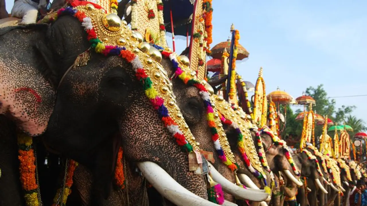 Kerala: Animal Husbandry issues guidelines for parading elephants in festivals Kerala: Animal Husbandry issues guidelines for parading elephants in festivals