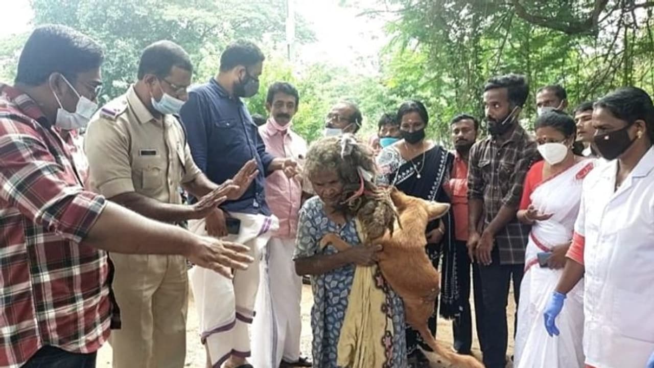 അവശനായി കിടന്ന തെരുവ് നായക്കൊപ്പം കഴിഞ്ഞ നാടോടി വൃദ്ധയ്ക്ക് സുരക്ഷിത ഇടമൊരുക്കി പഞ്ചായത്ത് പ്രസിഡന്റ് അവശനായി കിടന്ന തെരുവ് നായക്കൊപ്പം കഴിഞ്ഞ നാടോടി വൃദ്ധയ്ക്ക് സുരക്ഷിത ഇടമൊരുക്കി പഞ്ചായത്ത് പ്രസിഡന്റ്
