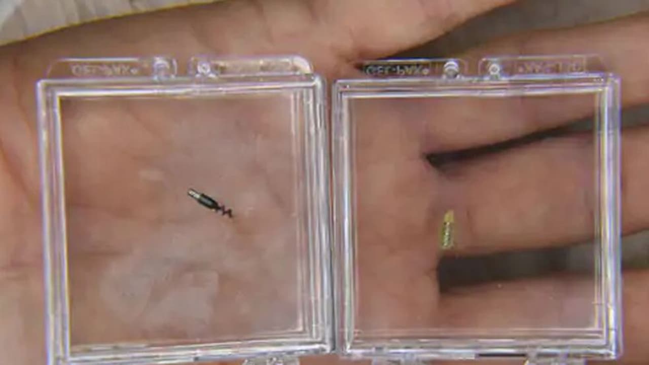 अब इंसान के अंदर भेजे जाएंगे रोबोट्स, इस गंभीर बीमारी का करेंगे इलाज, जानें किनके लिए होगी फायदेमंद अब इंसान के अंदर भेजे जाएंगे रोबोट्स, इस गंभीर बीमारी का करेंगे इलाज, जानें किनके लिए होगी फायदेमंद