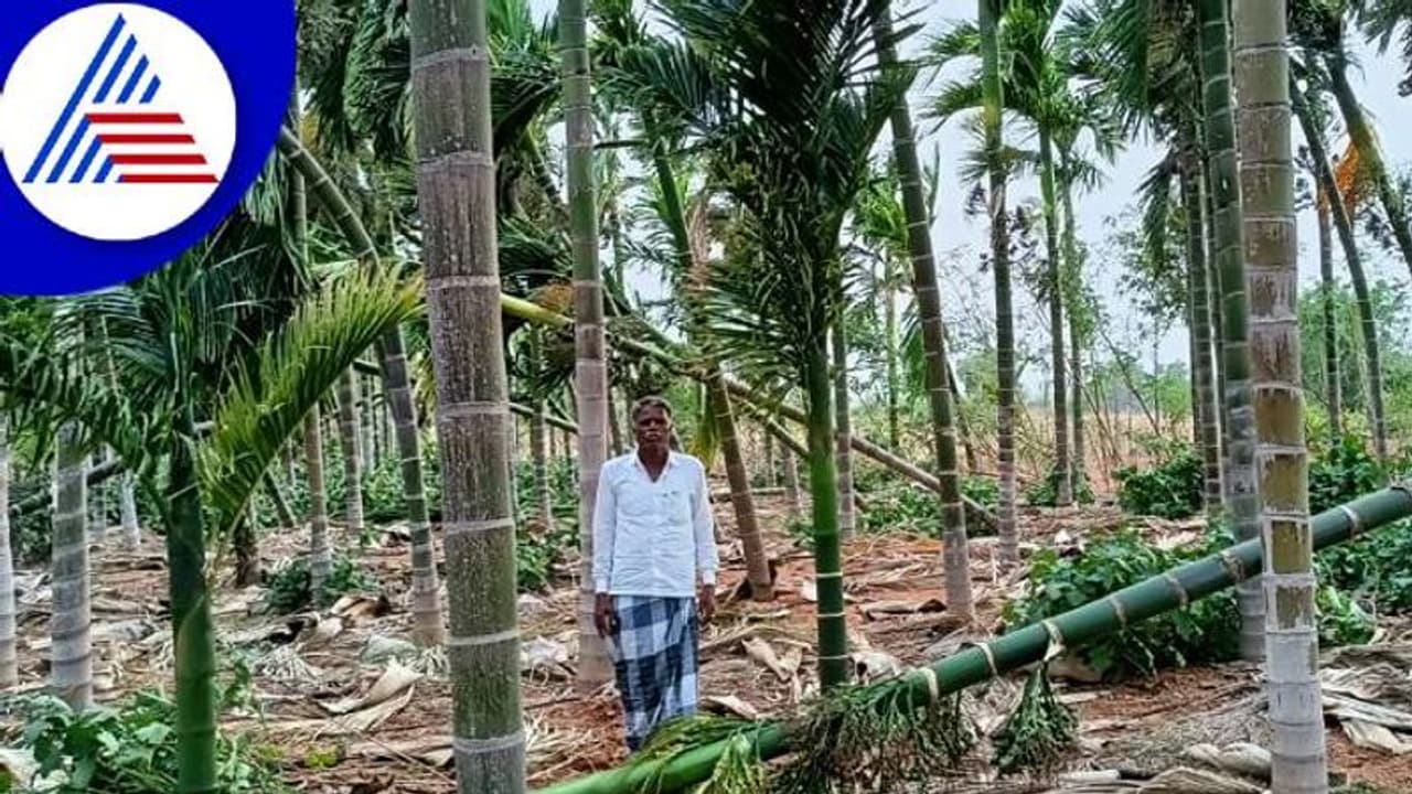 ಚಿತ್ರದುರ್ಗದಲ್ಲಿ ವರುಣನ ಆರ್ಭಟಕ್ಕೆ ಅಪಾರ ಬೆಳೆ ನಷ್ಟ: ಕಂಗಾಲಾದ ಅನ್ನದಾತ ಚಿತ್ರದುರ್ಗದಲ್ಲಿ ವರುಣನ ಆರ್ಭಟಕ್ಕೆ ಅಪಾರ ಬೆಳೆ ನಷ್ಟ: ಕಂಗಾಲಾದ ಅನ್ನದಾತ