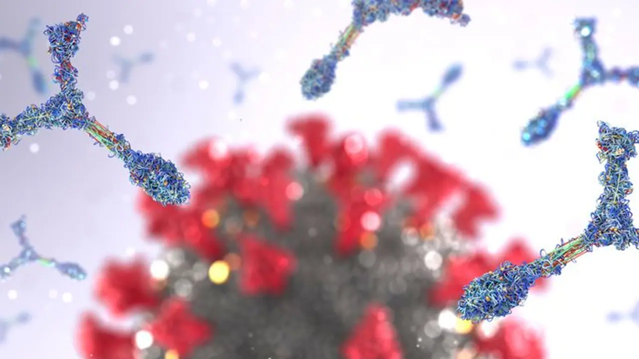 Monkeypox: Know early symptoms, how is it spread, other details