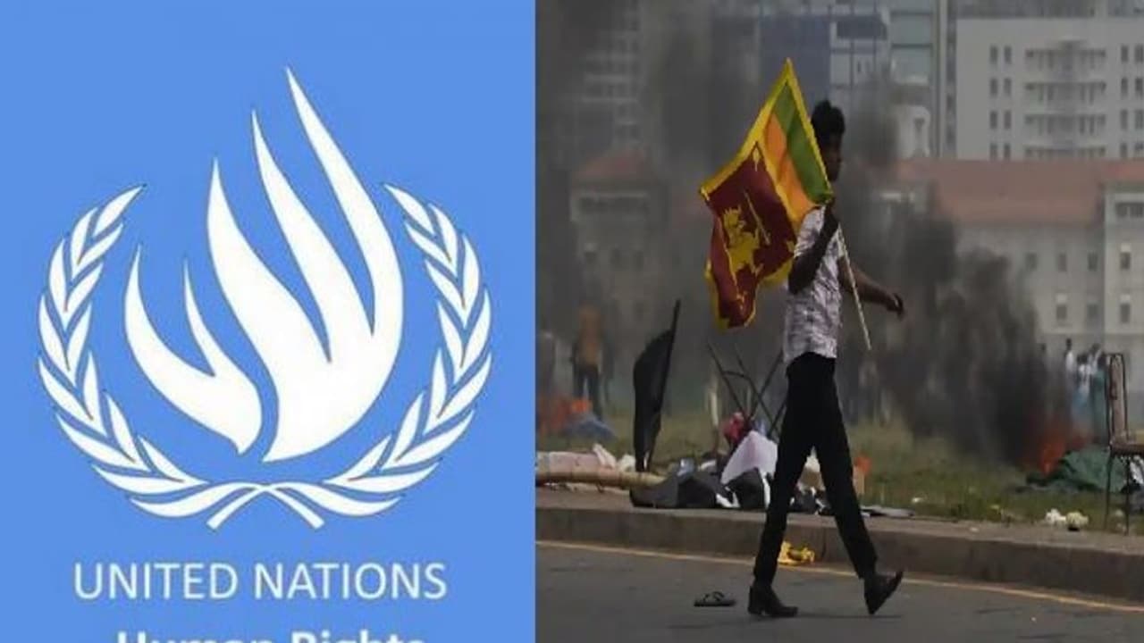 இலங்கையில் வன்முறைகளை தடுத்து அமைதியை ஏற்படுத்துங்கள்... ஐ.நா. மனித உாிமைகள் ஆணையம் வலியுறுத்தல்!!