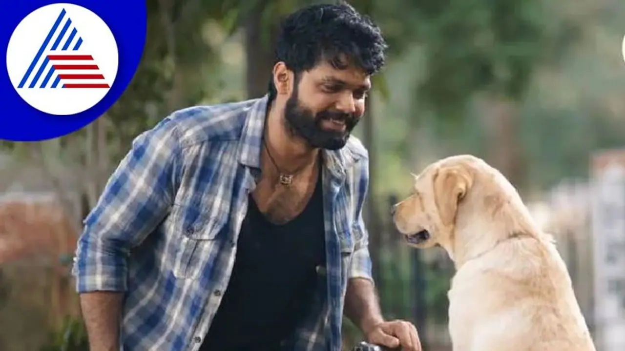 777 Charlie film review: ಸದ್ದುಗದ್ದಲದ ಜಗತ್ತಲ್ಲಿ ಒಂದು ಆಹ್ಲಾದಕರ ಮೌನ