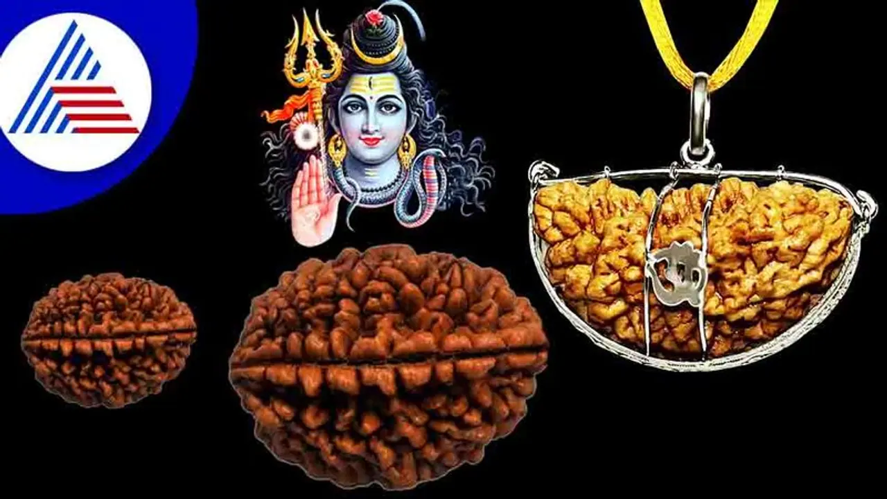 ಆದಾಯ ಹೆಚ್ಚಿಸುವ ಏಕಮುಖಿ ರುದಾಕ್ಷಿ, ಈ ರಾಶಿಗೆ ಧಾರಣೆಯ ವಿಶೇಷ ಫಲ